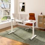 FLEXISPOT EN2 Electric Height Adjustable Standing Desk