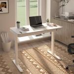 FLEXISPOT Adjustable Standing Desk with USB Charging
