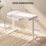 FLEXISPOT Adjustable Standing Desk with USB Charging
