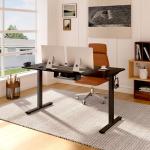 FLEXISPOT Electric Height Adjustable Standing Desk