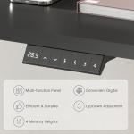 FLEXISPOT Electric Height Adjustable Standing Desk