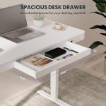 FLEXISPOT Adjustable Standing Desk with USB Charging