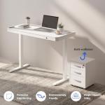 FLEXISPOT Adjustable Standing Desk with USB Charging