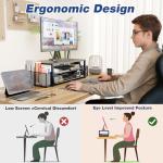 OPNICE 2-Tier Desk Organizer with Monitor Stand