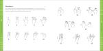 American Sign Language for Kids: 101 Easy Signs