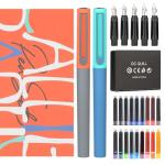 Calligraphy Fountain Pen Set with 5 Nibs