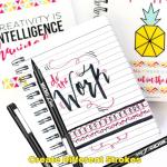 Dyvicl Calligraphy Brush Pens for Beginners