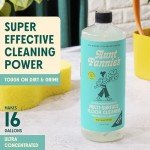 Aunt Fannie's Eucalyptus Floor Cleaner Concentrate