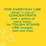 Mrs. Meyer's Honeysuckle Multi-Surface Cleaner Duo