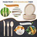 Eco-Friendly 250 Pcs Disposable Dinnerware Set