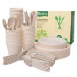300-Piece Biodegradable Paper Plates & Utensils Set