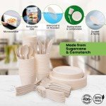 300-Piece Biodegradable Paper Plates & Utensils Set