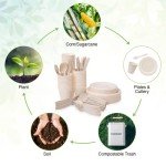 300-Piece Biodegradable Paper Plates & Utensils Set