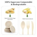 Compostable 250-Count Sugarcane Paper Plate Set