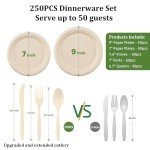 Compostable 250-Count Sugarcane Paper Plate Set