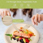 Eco-Friendly 250Pcs Disposable Paper Plates & Cutlery