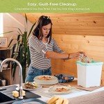 Eco-Friendly 250Pcs Disposable Paper Plates & Cutlery