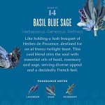 Biodegradable Dish Soap with Aloe Vera & Basil