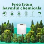 Eco-Friendly Tree-Free Toilet Paper - 24 Rolls