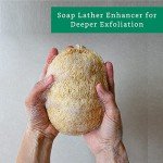 4 Pack Organic Loofah Exfoliating Sponges