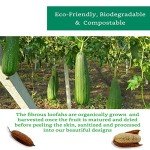 4 Pack Organic Loofah Exfoliating Sponges