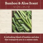 Bamboo & Aloe Scented Mason Jar Candle 13oz