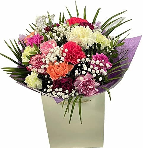 Carnations
