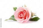 Heavenly Rose Bouquet: Red, White, Pink Flowers