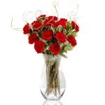 Luxury Red Carnation Bouquet with Belgian Chocolates