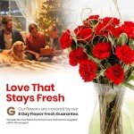 Luxury Red Carnation Bouquet with Belgian Chocolates