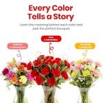 Luxury Red Carnation Bouquet with Belgian Chocolates