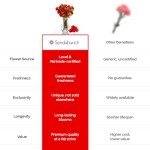 Luxury Red Carnation Bouquet with Belgian Chocolates