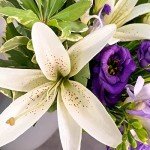 Purple Wishes Flower Bouquet - Perfect for Any Occasion