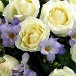 Stunning Amethyst Bouquet with Roses and Freesia