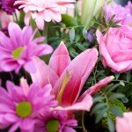 Fresh Pink Simplicity Hand-Tied Flower Bouquet