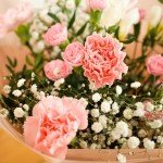 Beautiful Pink Flower Bouquet - Carnations & Freesias