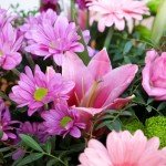 Fresh Pink Simplicity Hand-Tied Flower Bouquet