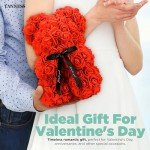 25cm Red Rose Bear in Gift Box