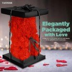 25cm Red Rose Bear in Gift Box