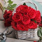 12 Red Silk Rose Flowers Bouquet for Decor