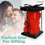 25cm Red Rose Bear in Gift Box