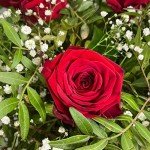 50 Stunning Red Roses Bouquet - Perfect Gift