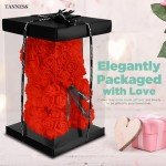 25cm Red Rose Bear in Gift Box