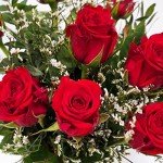 Stunning Red Rose Bouquet for Every Occasion