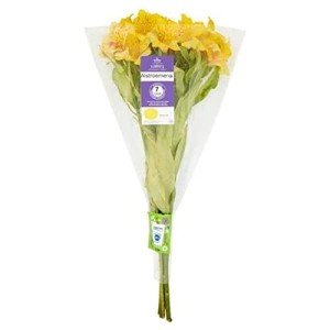 Alstromeria Flower Bouquet from Morrisons