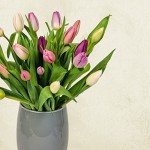 Mother’s Day Letterbox Tulips Gift Bouquet