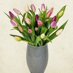 Mother’s Day Letterbox Tulips Gift Bouquet
