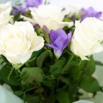 Elegant White Rose & Lilac Freesia Bouquet