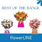Autumn Harvest Fresh Flower Bouquet in Vase