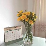 Clear 20cm Glass Vase for Flowers and Decor